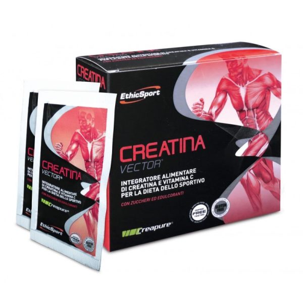 Ethicsport Creatina Vector 20 sachets