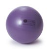 Μπάλα άσκησης Sissel Securemax Ball