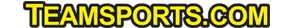 Teamsports logo