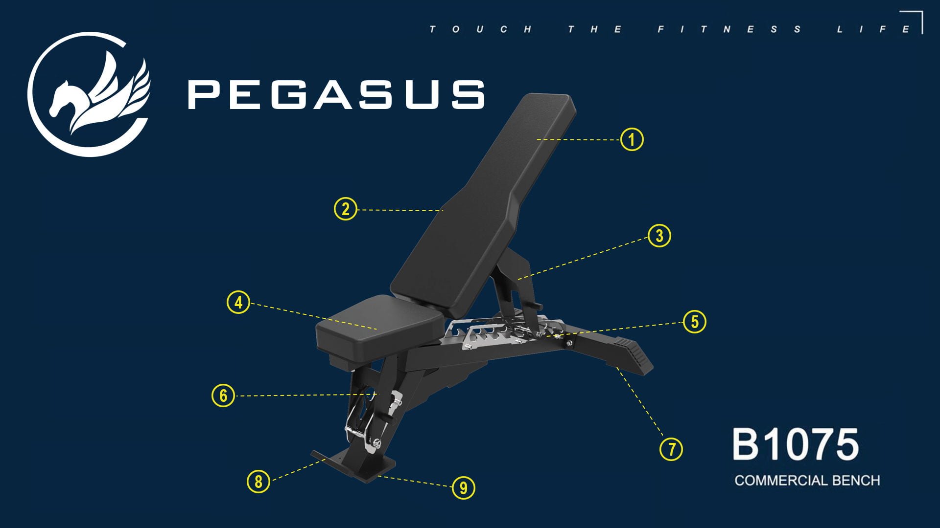 Ρυθμιζόμενος Πάγκος Pegasus B1075