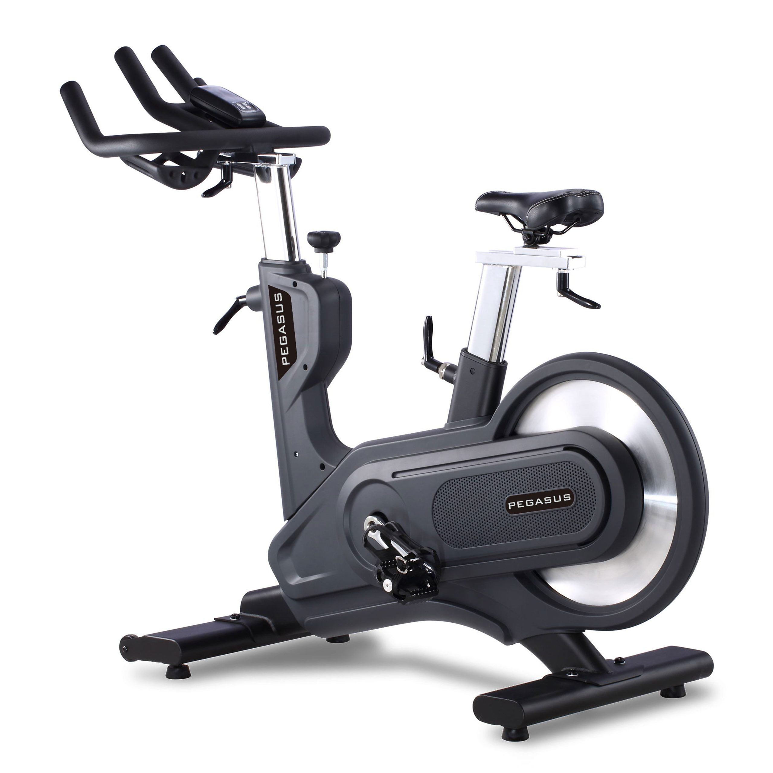 Pegasus S12 Spinning Bike